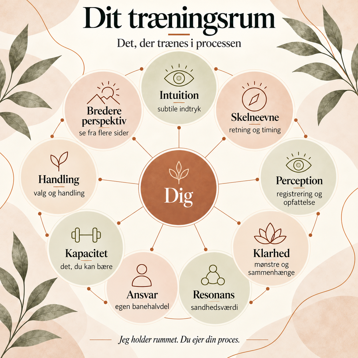 Intuition træning